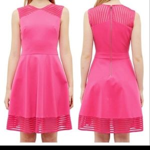 Ted Baker London Eleese Skater Dress in Hot Pink